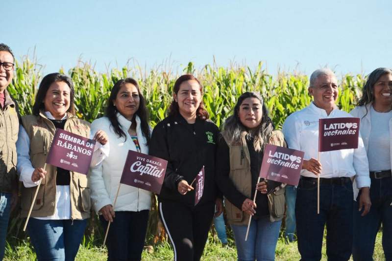 Oaxaca de Juárez da inicio a la siembra simbólica de rábanos rumbo a la Noche de Rábanos 2025
