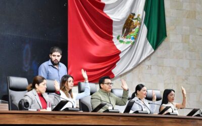 Desde el Congreso local presentan iniciativas para prohibir venta de bebidas energetizantes a menores de 18 años, la inclusión de personas de talla baja, proteger artesanías tradicionales y el medio ambiente en Oaxaca