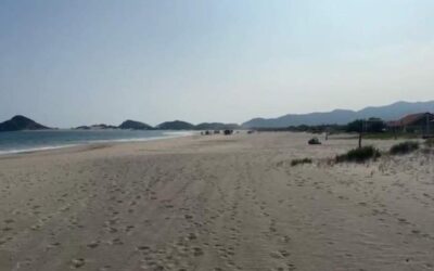 Localizan cuerpo de joven desaparecido en Playa Azul de Salina Cruz: CEPCyGR