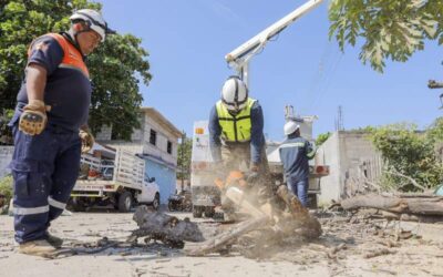 Brigadas operativas del Gobierno Juchiteco refuerzan el apoyo a la población y colaboran con CFE ante afectaciones eléctricas por el frente frío número 13