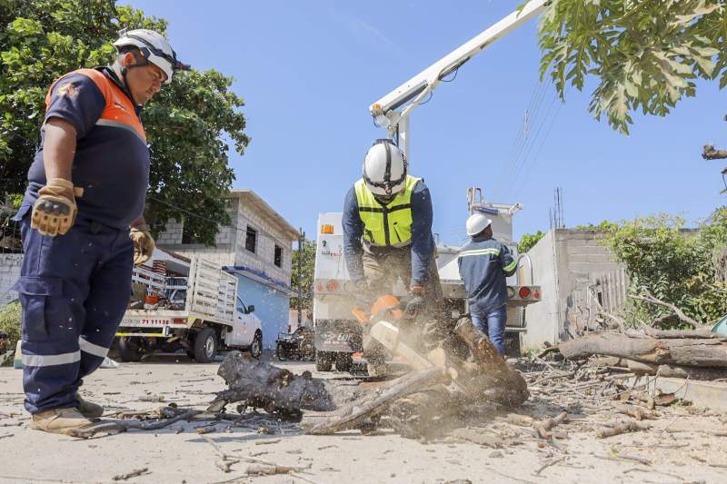 Brigadas operativas del Gobierno Juchiteco refuerzan el apoyo a la población y colaboran con CFE ante afectaciones eléctricas por el frente frío número 13