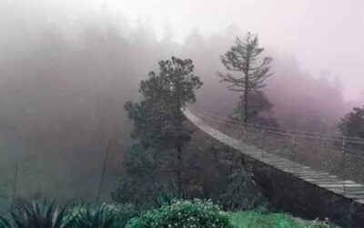 Entre 10 a 12 frentes fríos impactarán directamente a Oaxaca