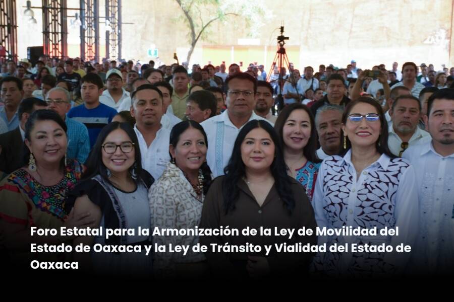 Armonización de la ley de movilidad, una demanda histórica de la entidad: diputada Tania Caballero