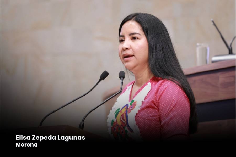 desde-el-congreso-del-estado-proponen-ampliar-el-concepto-de-comunidades-indigenas-y-asegurar-el-acceso-efectivo-a-la-justicia-6a1379dd8be21