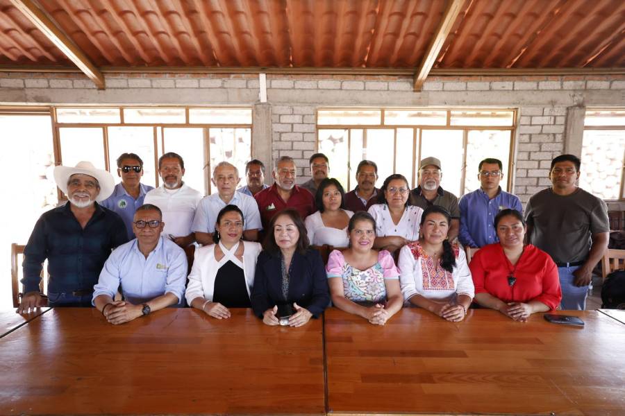 Impulsa la Senadora Laura Estrada iniciativa en favor del sector forestal comunitario