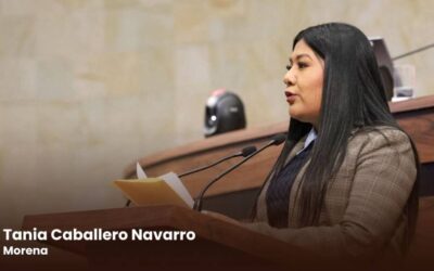 “Los problemas de México los vamos a resolver las y los mexicanos, sin tutelas ni presiones del exterior”: diputada Tania Caballero