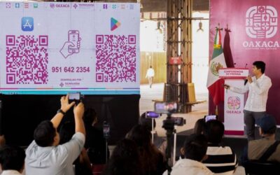 Nace Bina, la App digital para aprender palabras en lenguas originarias
