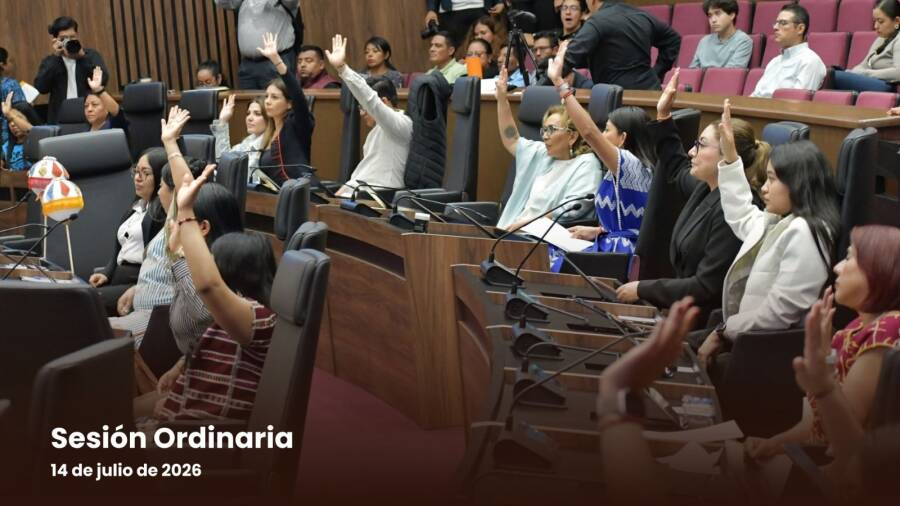 aprueba-legislativo-reforma-para-otorgar-permiso-laboral-a-mujeres-y-personas-menstruantes-6a5a493b0cb8c