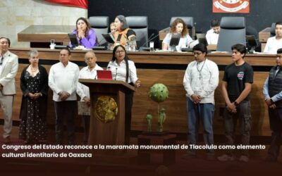 Congreso del Estado reconoce a la maramota monumental de Tlacolula como elemento cultural identitario de Oaxaca