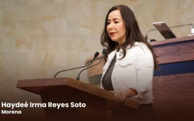 Plantean reforma para dotar de atribuciones en bienestar animal a los 570 Ayuntamientos de Oaxaca